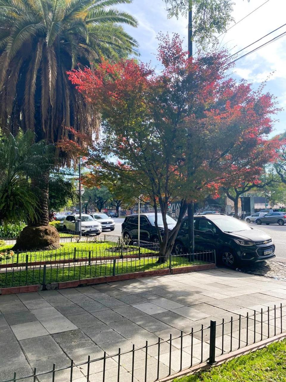 Libertador At Apartment